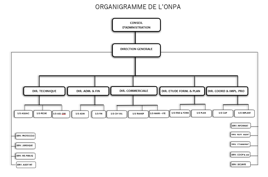 Équipe de travail de l'ONPA